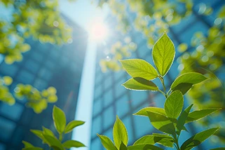 Office view with leaves